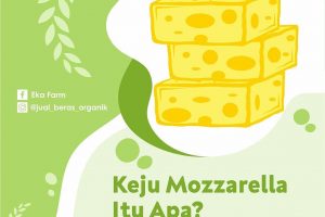 YUK, KENALAN DENGAN KEJU MOZZARELLA DAN KEUNIKANNYA