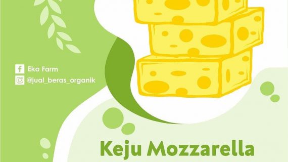 YUK, KENALAN DENGAN KEJU MOZZARELLA DAN KEUNIKANNYA