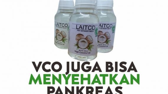 VCO UNTUK BANTU MENINGKATKAN KESEHATAN PANKREAS