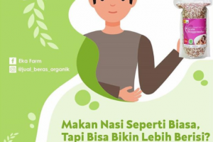 MAKAN NASI SEPERTI BIASA UNTUK NAIKKAN BERAT BADAN RENDAH
