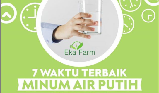 7 WAKTU TERBAIK UNTUK MINUM AIR PUTIH