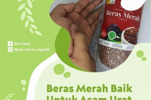 MANFAAT BERAS MERAH UNTUK ASAM URAT