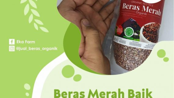 MANFAAT BERAS MERAH UNTUK ASAM URAT