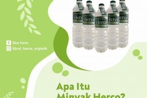apa itu minyak herco