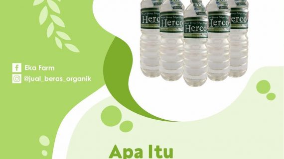 APA ITU MINYAK HERCO?