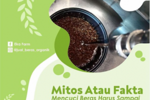 PERLUKAH MENCUCI BERAS SAMPAI AIR BENING?