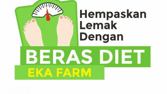 BERAS DIET ORGANIK UNTUK MEMBANTU HEMPASKAN LEMAK