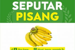 gizi dan manfaat pisang