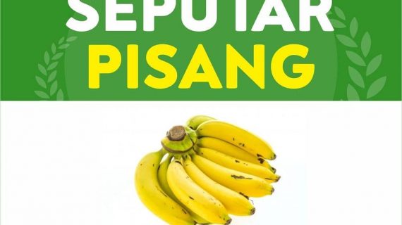 RAHASIA GIZI DAN MANFAAT PISANG BAGI TUBUH