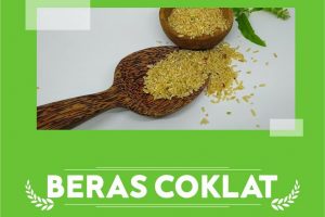 TAHUKAH ANDA MANFAAT BERAS COKLAT UNTUK MENURUNKAN BERAT BADAN?