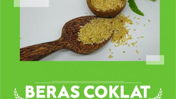 TAHUKAH ANDA MANFAAT BERAS COKLAT UNTUK MENURUNKAN BERAT BADAN?