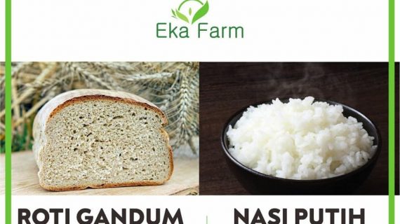 NASI VS ROTI, PILIH YANG MANA UNTUK DIET?