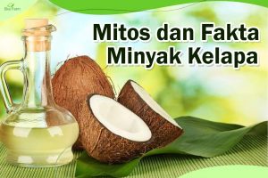 Fakta dan Mitos Minyak Kelapa