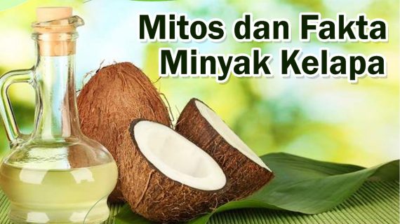 Fakta dan Mitos Minyak Kelapa
