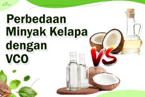 Perbedaan Minyak Kelapa dan VCO 