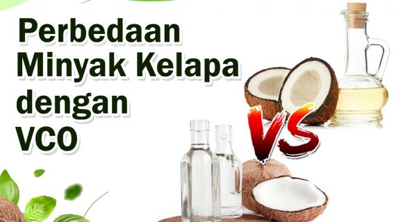 Perbedaan Minyak Kelapa dan VCO 
