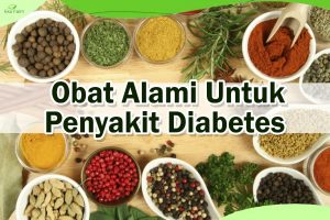 Obat Penyakit Diabetes Alami Tanpa Efek Samping