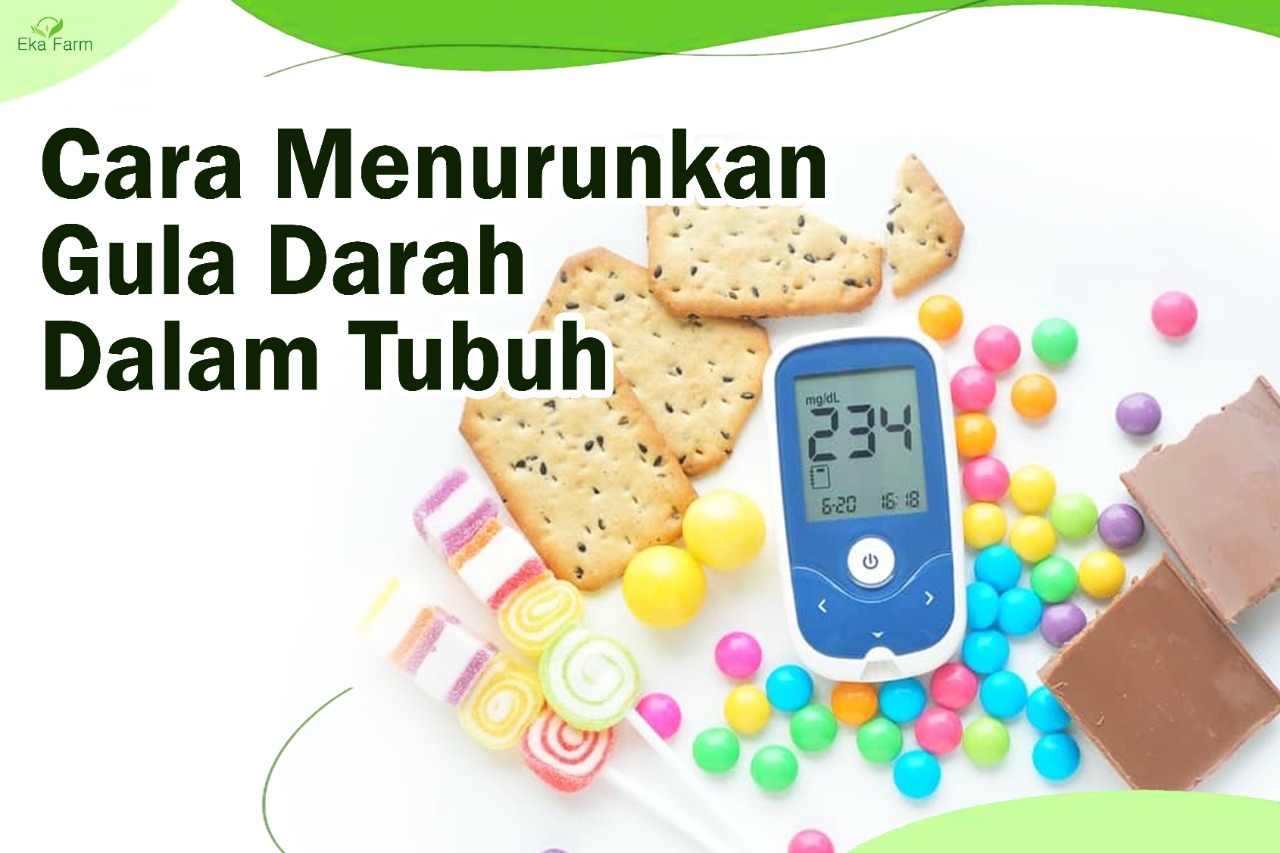 Cara Menurunkan Gula Darah Dalam Tubuh – Eka Farm