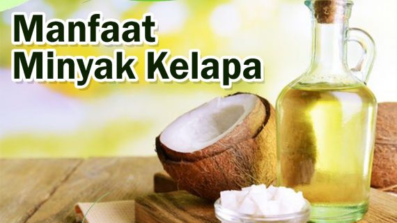 7 Manfaat Minyak Kelapa Untuk Kesehatan