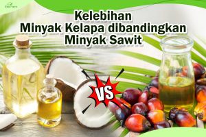 Kelebihan Minyak Kelapa dibandingkan Minyak Sawit