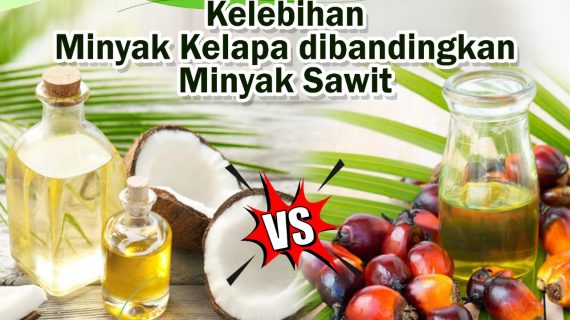Kelebihan Minyak Kelapa dibandingkan Minyak Sawit