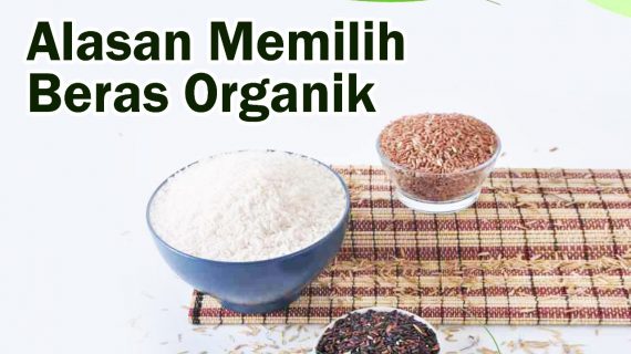 Alasan Memilih Beras Organik 