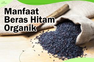 5 Manfaat Beras Hitam Organik