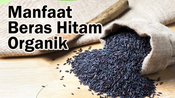5 Manfaat Beras Hitam Organik