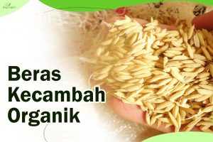 Beras Kecambah Organik 