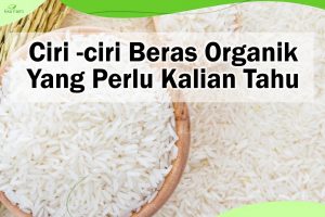 Ciri-ciri Beras Organik Yang Perlu Kamu Tahu !!!