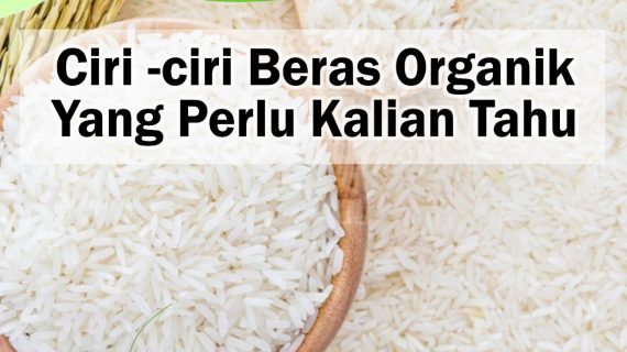 Ciri-ciri Beras Organik Yang Perlu Kamu Tahu !!!