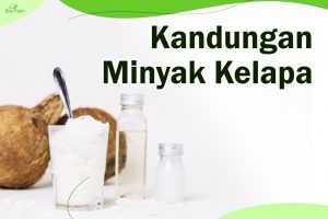 Kandungan minyak kelapa