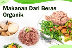 Makanan Dari Beras Merah Organik
