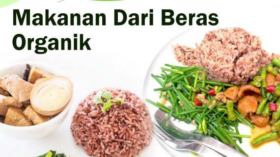 Makanan Dari Beras Merah Organik