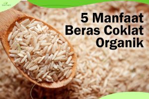 5 Manfaat Beras Coklat Organik