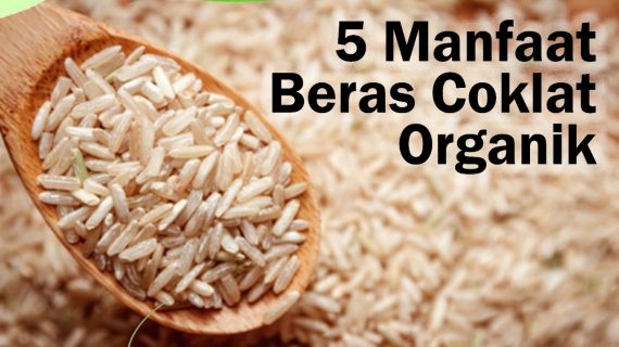 5 Manfaat Beras Coklat Organik