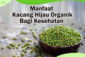 Manfaat Kacang Hijau Organik bagi kesehatan