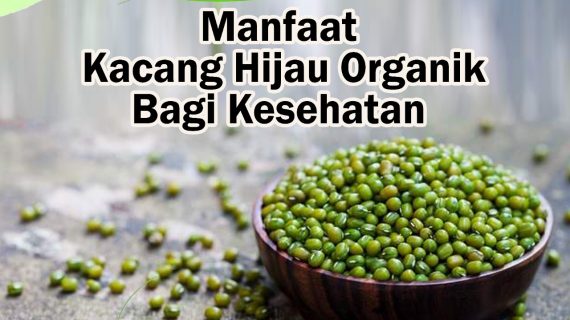 Manfaat Kacang Hijau Organik bagi kesehatan