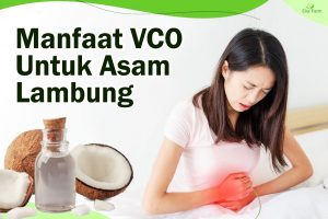 Manfaat VCO untuk Asam Lambung