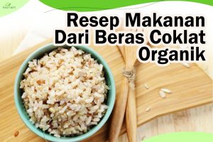 Resep Makanan dari beras Coklat Organik