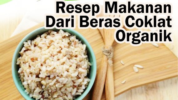 Resep Makanan dari beras Coklat Organik