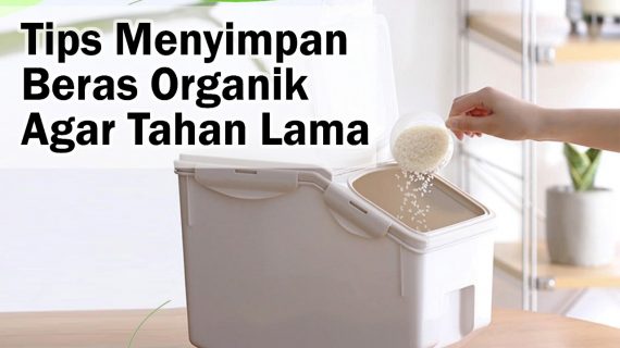 Tips Menyimpan Beras Organik Agar tahan lama