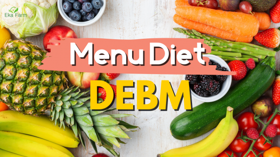 Menu Diet DEBM Yang Wajib Kamu Coba !!!