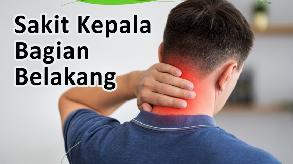Pusing Kepala Bagian Belakang dan Cara Menghindarinya