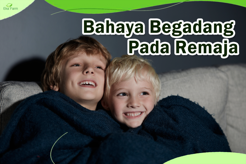 5 Bahaya Begadang Bagi Remaja Untuk Jiwa Dan Raga – Eka Farm