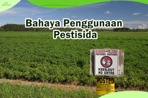 3 Bahaya Penggunaan Pestisida. Ini Resikonya…