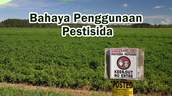 3 Bahaya Penggunaan Pestisida. Ini Resikonya…