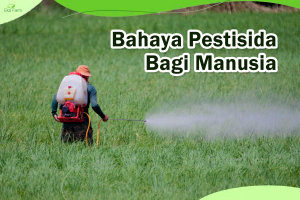 4 Dampak Paling Bahaya Pestisida bagi Manusia