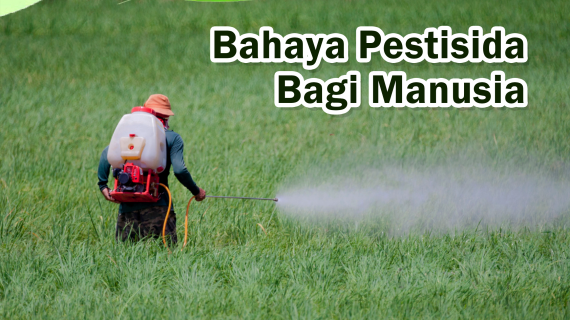 4 Dampak Paling Bahaya Pestisida bagi Manusia