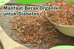 Manfaat Beras Organik untuk Diabetes